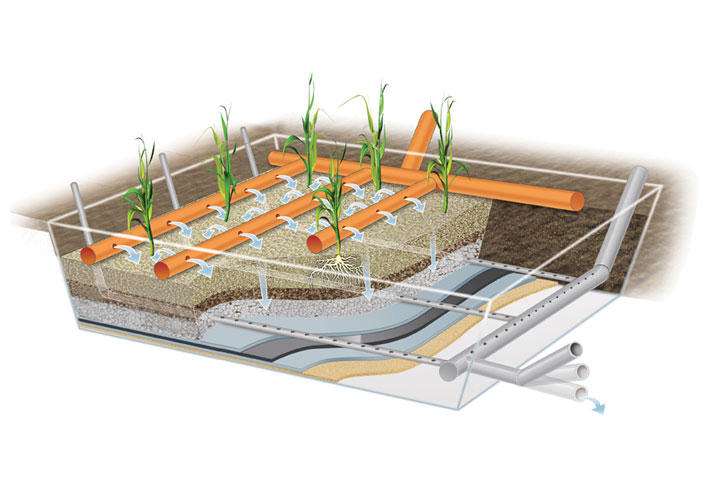 Ecosafe | artificial-wetlands